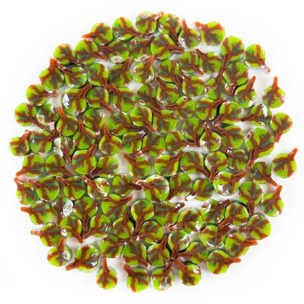 Murrine - Chestnut Tree - 90COE