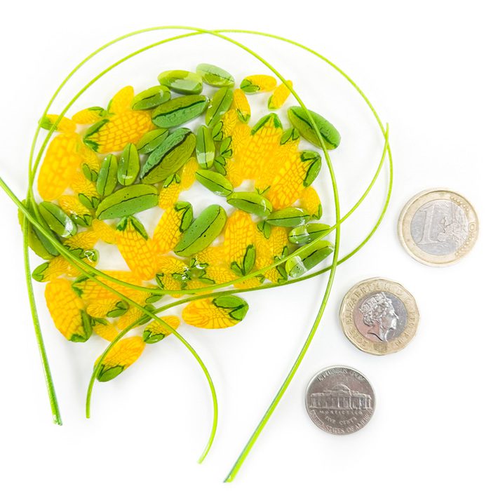 Murrine - Mixed Size - Corn Sheath - 90COE