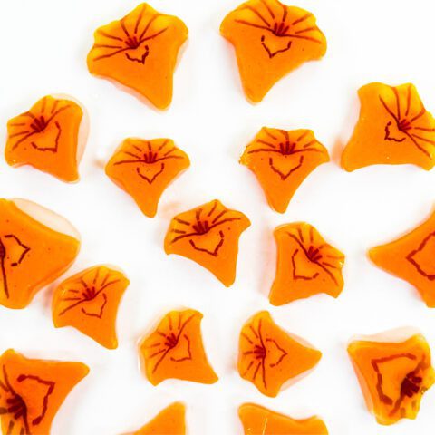 XL Murrine - Trumpet Flower - 96COE