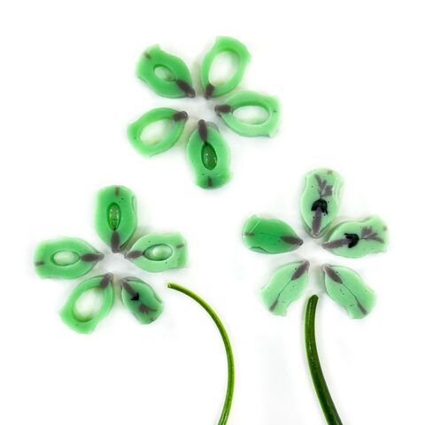 Curious-XL-Mint-Petals-96COE-25g