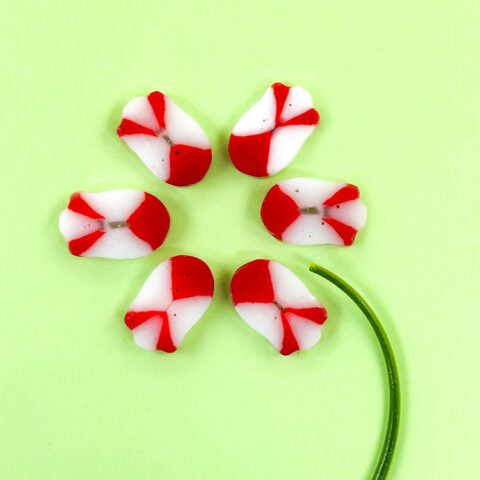 CuriousXL-RedWhitePetals-96COE