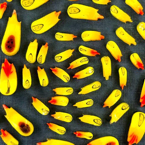 Murrine-Mixed-Size-Comet-90COE