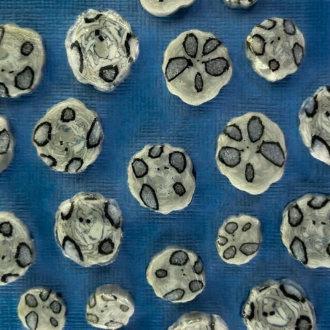 XL-Murrine-Asteroid-90COE