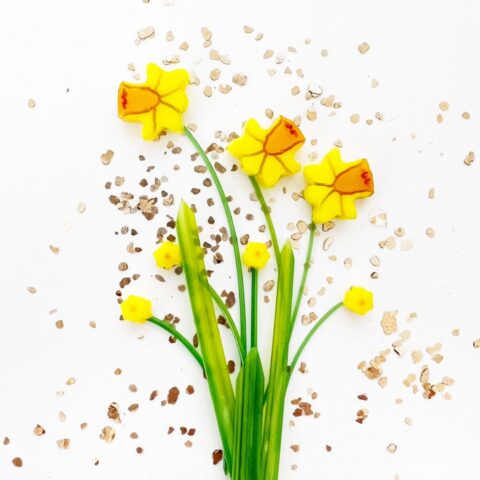 Murrine-Mixed-Size-Daffodil-96COE