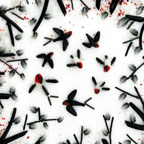 Murrine-Mixed-Swallow-90COE