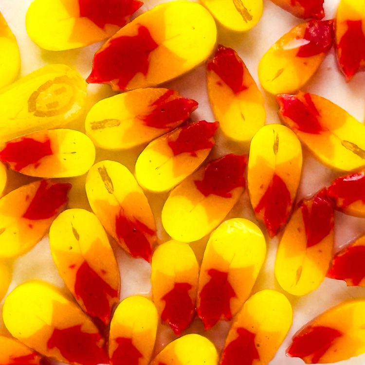 Curious - Glow Petals - 96COE - 25g - Image 2