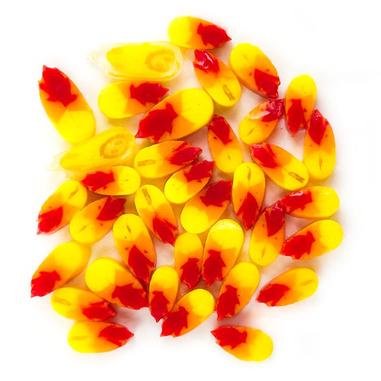 Curious - Glow Petals - 96COE - 25g - Image 3