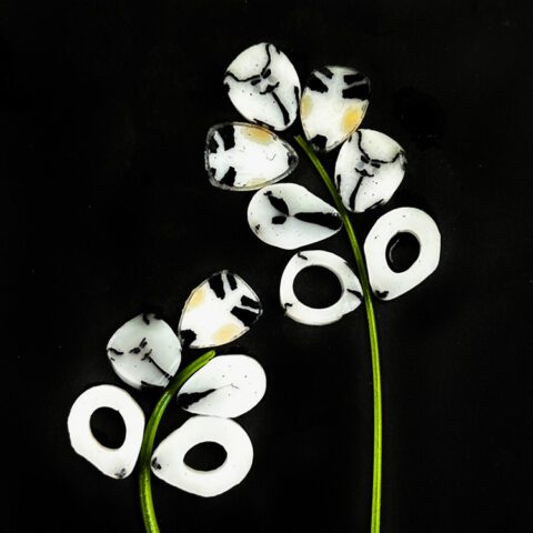 Curious XL - Monochrome Petals - 96COE - 25g