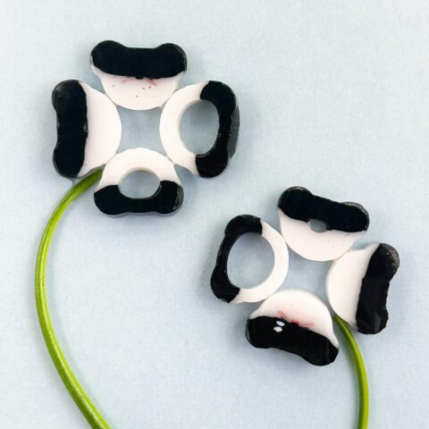 Curious XL - Noir Petals - 90COE - 25g