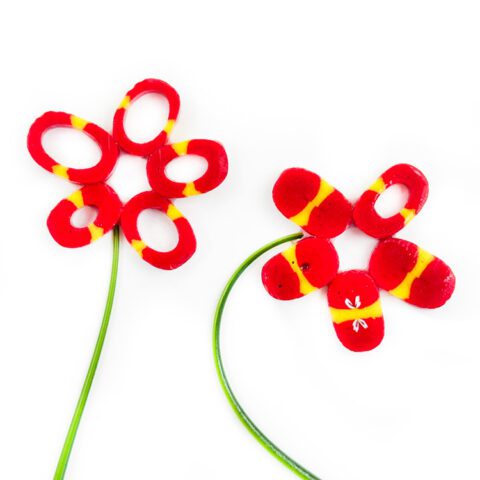 Curious XL - Red Yellow Petals - 90COE - 25g