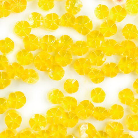 Curious - Yellow Transparent Blossom - 90COE - 25g