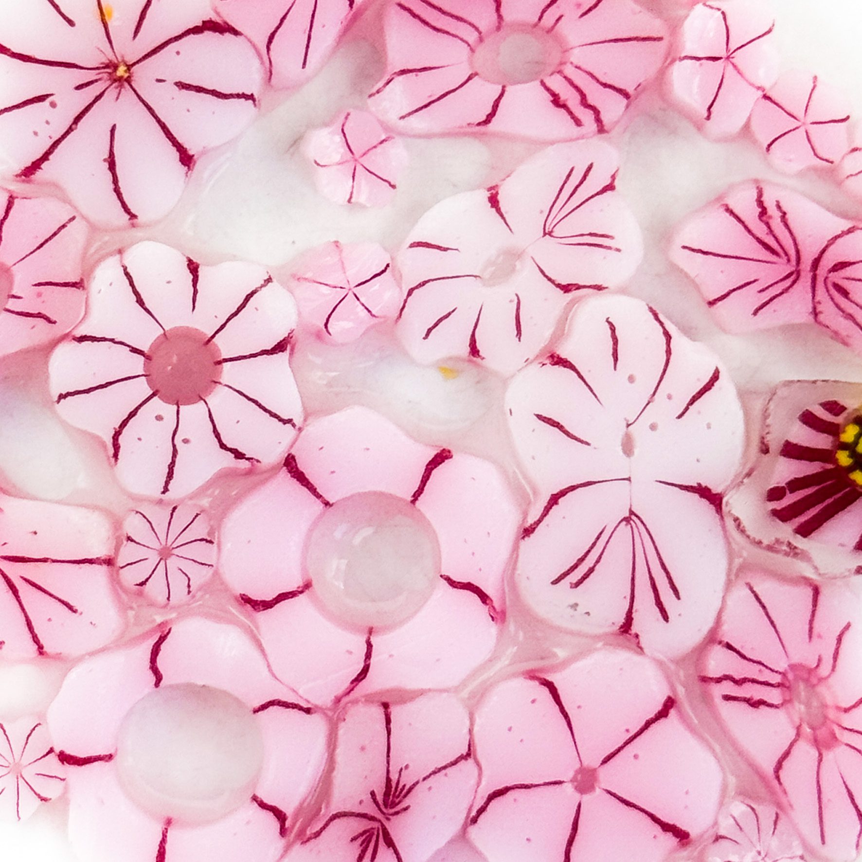 Curious – Mix Size – Cherry Blossom – 90COE – 25g