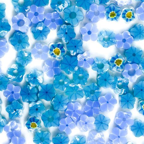 Curious - Forget Me Not - 96COE - 25g