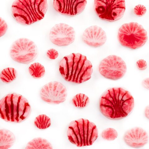 Murrine - Mix Size - Old Scallop Shell - 90COE - 1oz