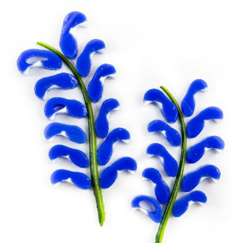 Curious XL - Blue Petals - 96COE - 25g