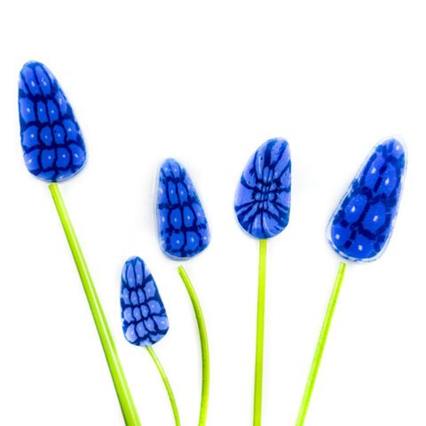 XL Murrine - Delphinium Plant - 96COE