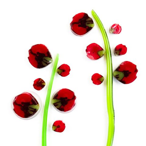 Curious - Rose Bud - 96COE - 25g