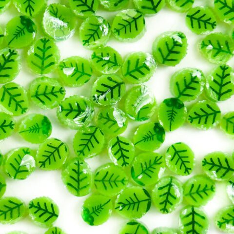 XL Murrine - Rose Leaves - 96COE