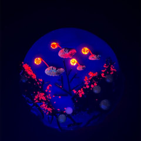 Murrine - Catch of the Month - 90COE - Half oz