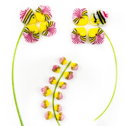 Curious - Catch of the Month - 90COE - 25g