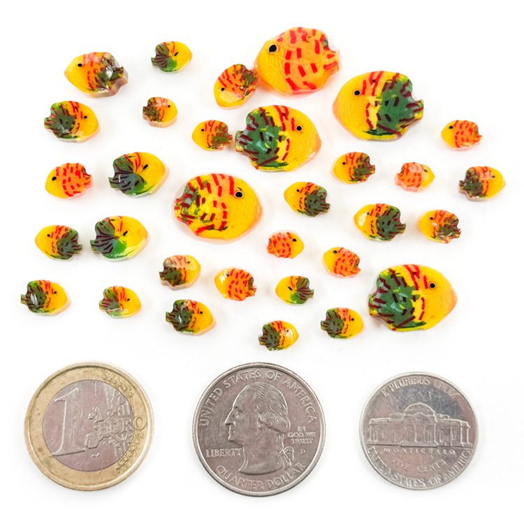 Murrine - Catch of the Month - 96COE - Half oz