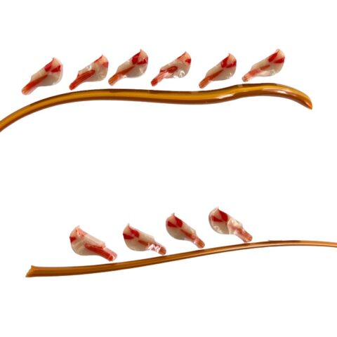 Murrine - Female Cardinal - 90COE