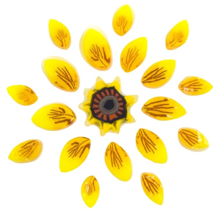 XL Murrine - Jumbo Sunflower - 96COE - Image 2