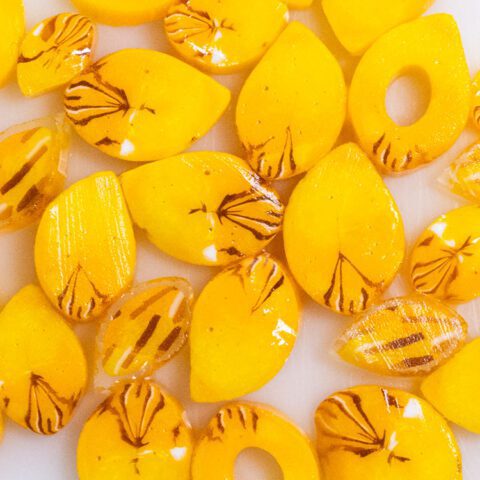 Curious Sunflower Petals