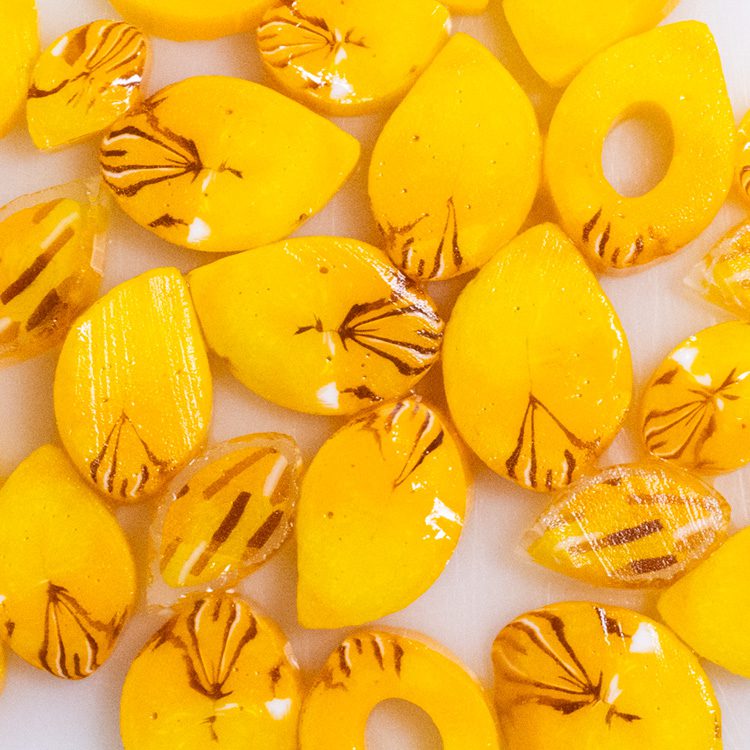 Curious Sunflower Petals