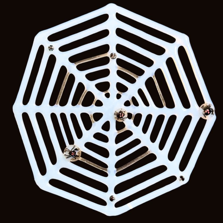 Fused Glass Spider Web