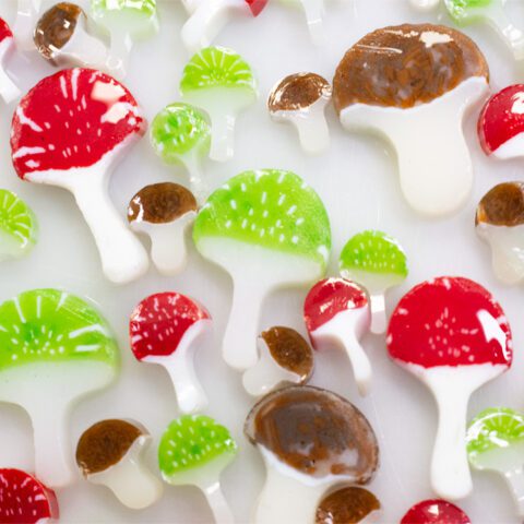 Murrine - Mix Size - Mushrooms - 96COE