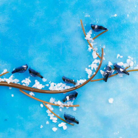 Murrine - Blue Jay - 90COE